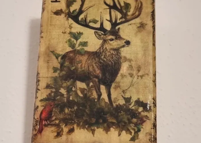 Il Gigante * Collagna